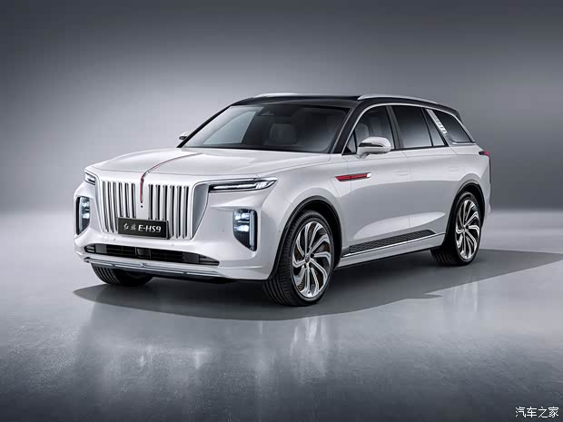 FAW Hongqi Hongqi E-HS9 2020 Basic Model