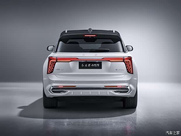 FAW Hongqi Hongqi E-HS9 2020 Basic Model